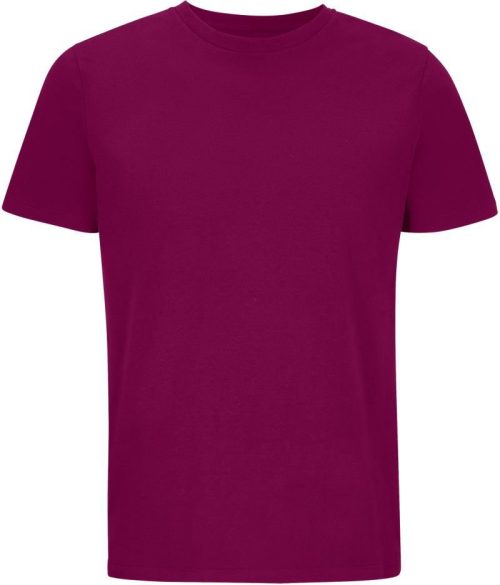 Unisex Bio IC T-Shirt Legend – SOL'S in Astral Purple