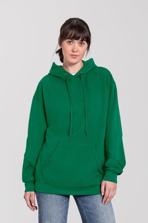 Kapuzen Sweater Iconic 250 Hooded Sweat – Fruit of the Loom in College Green