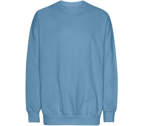 Oversized Sweatshirt T63011 – Tiger in Dusty Indigo
