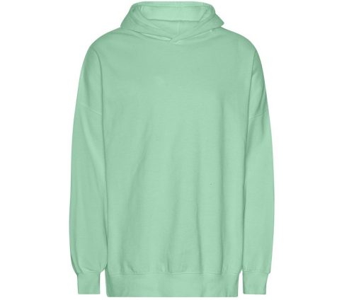 Oversized Hoodie T63111 – Tiger in Dusty Mint
