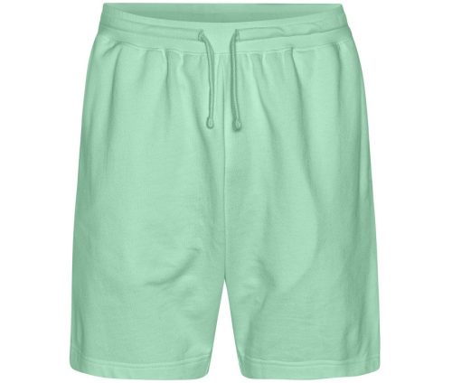 Sweatshorts T64111 – Tiger in Dusty Mint