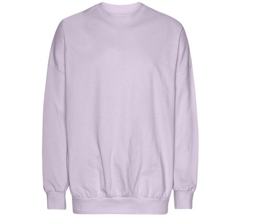 Oversized Sweatshirt T63011 – Tiger in Dusty Purple