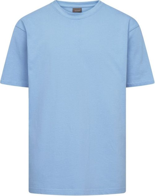 Schweres Unisex T-Shirt 3100 – Promodoro in Light Blue